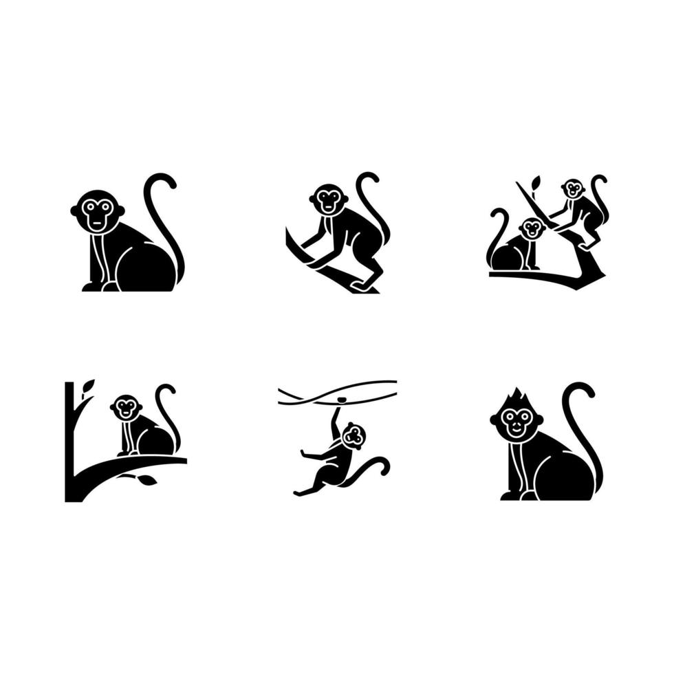 apen in wilde glyph pictogrammen instellen. tropische dieren op bomen. het verkennen van exotische Indonesische dieren in het wild. primaat zitten. Balinese bosfauna bezoeken. silhouet symbolen. vector geïsoleerde illustratie