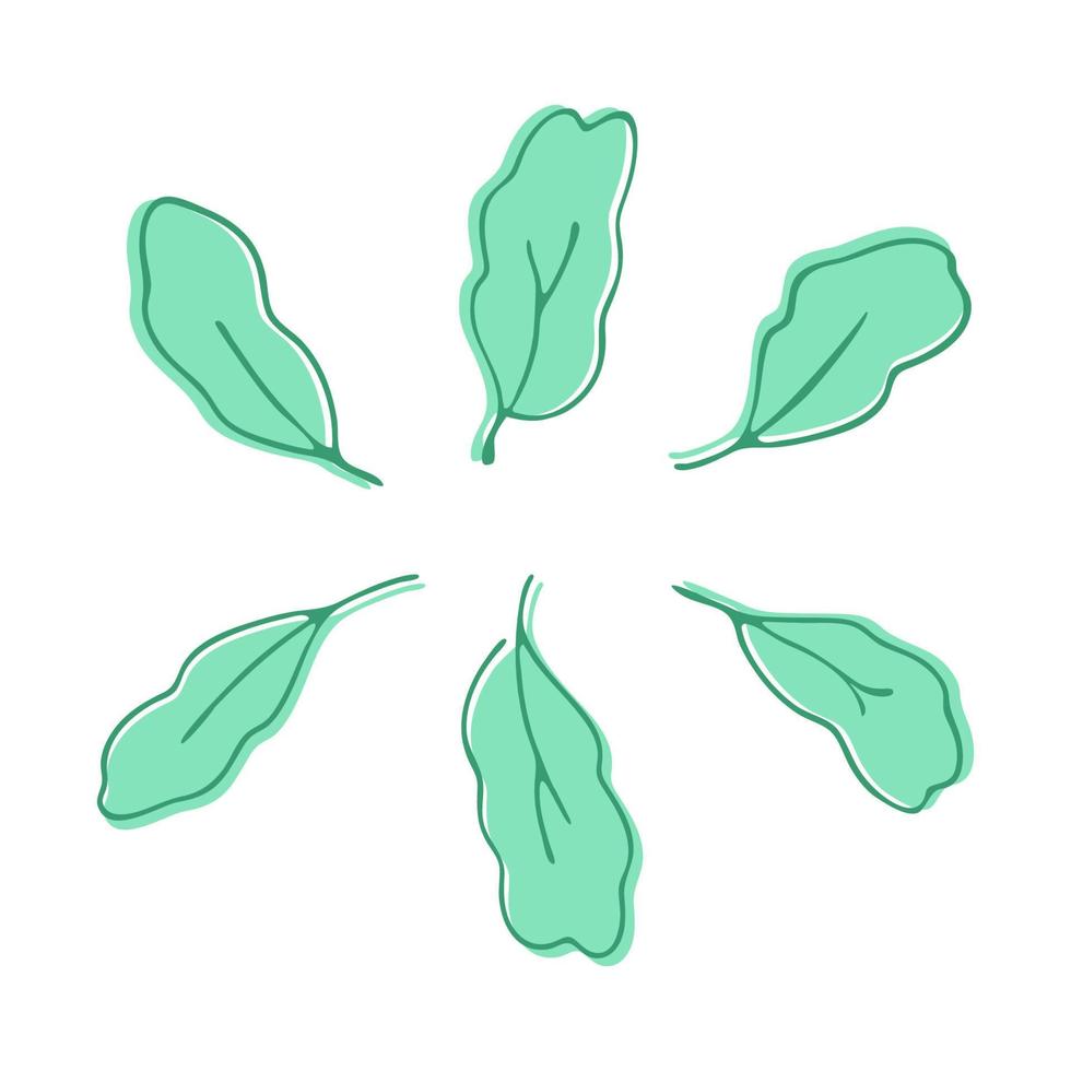 zet bladeren op een witte achtergrond. natuur doodle. geïsoleerde vectorillustratie. blad zijn een apart element. vector