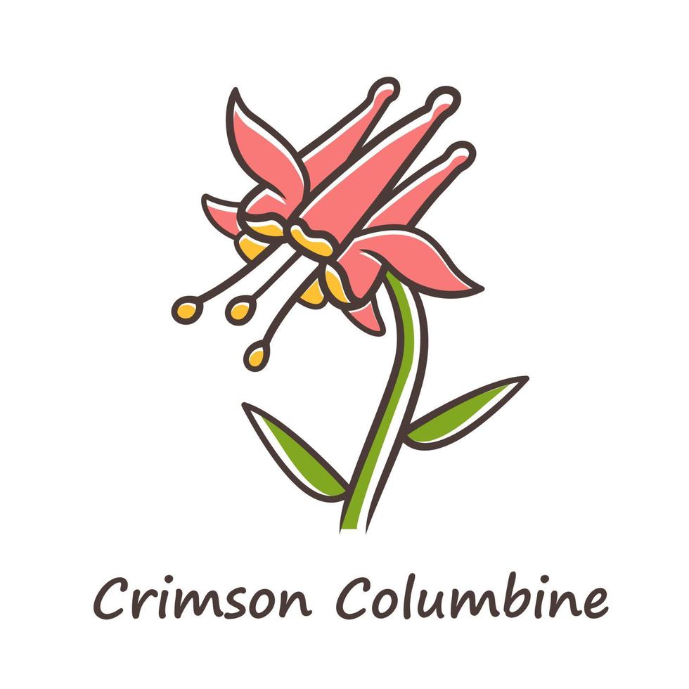 karmozijnrode columbine kleur icoon. aquilegia formosa bloeiwijze. bloeiende wilde bloem. lente bloesem. rode akelei. wilde kruidachtige plant met naam inscriptie. geïsoleerde vectorillustratie vector