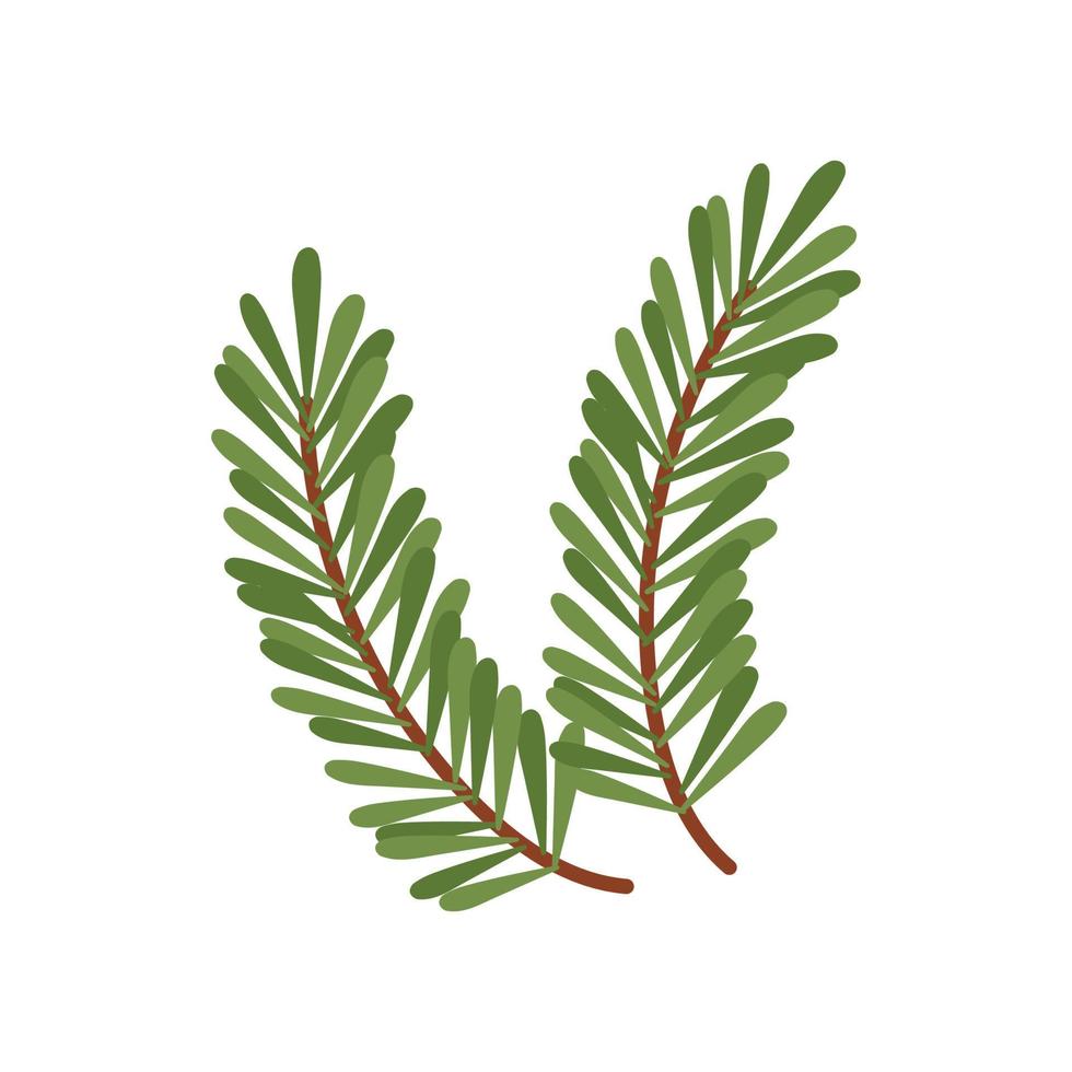 tak van sparren met groene naalden voor decoratie voor de vakantie. vector kerst clipart, geïsoleerde illustratie op een witte achtergrond. voor ansichtkaarten, banners, flyers