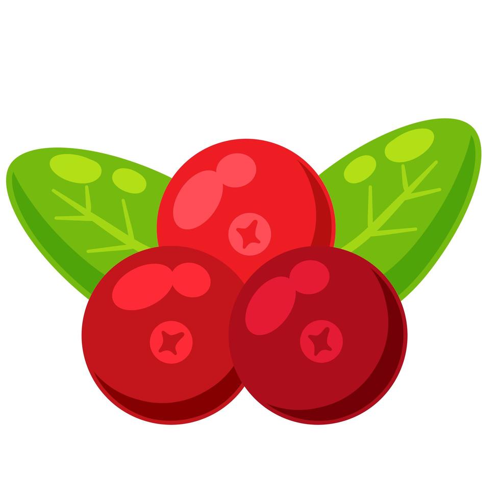 rode bes met groene bladeren. cranberry bes. vector