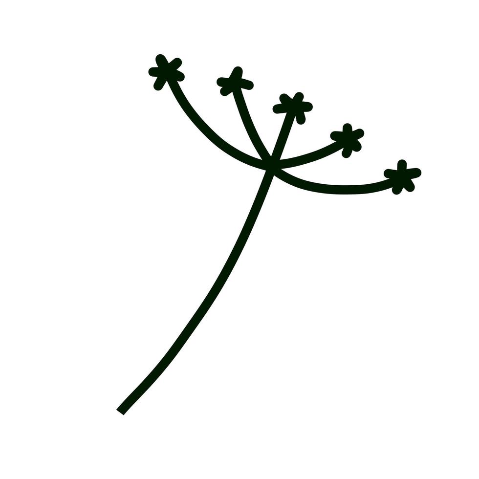dille in doodle stijl. weide groene plant en kruid. eenvoudig natuurgras vector