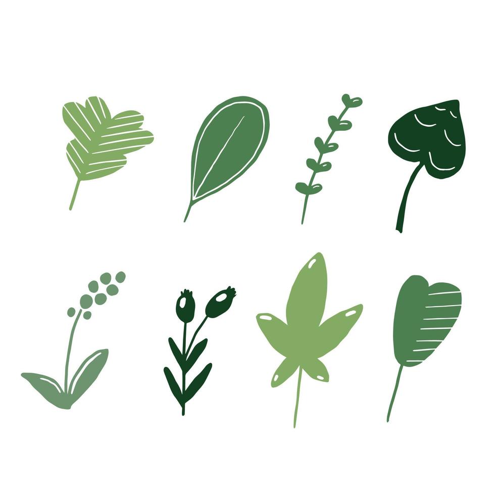 set handgetekende bladeren. platte natuur illustratie. vector