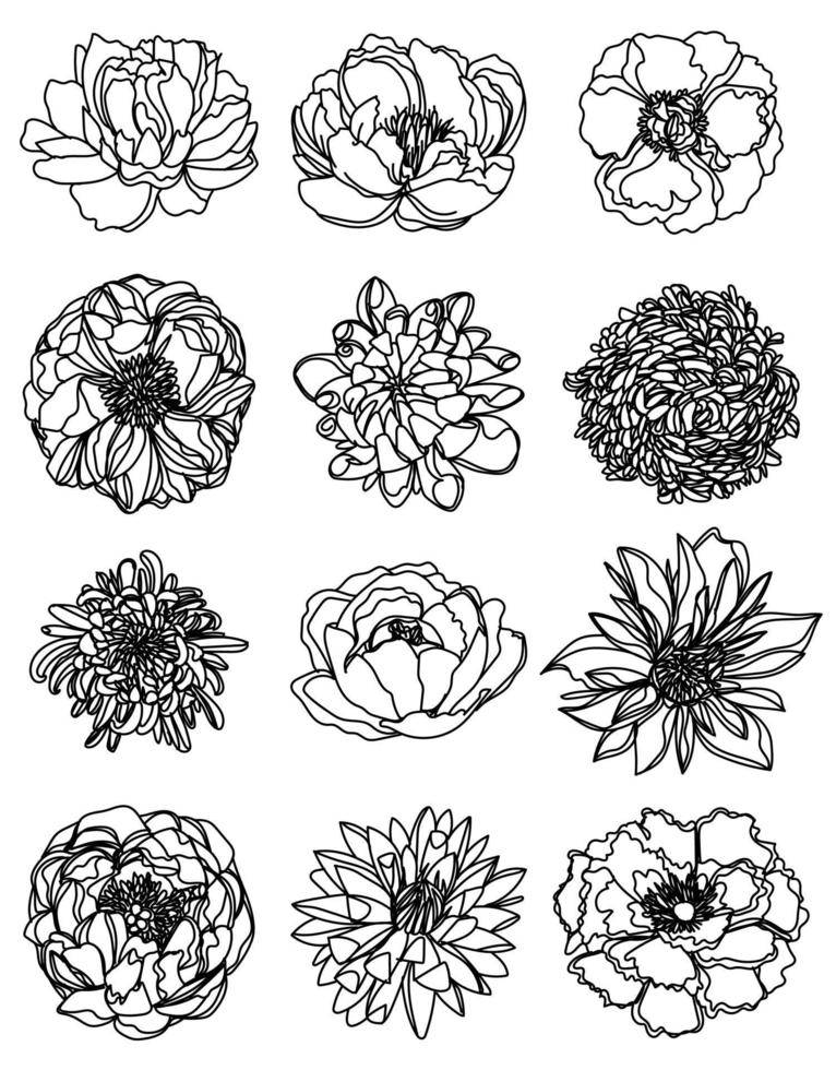 bloemen set hand schets tekening zwart-wit vector