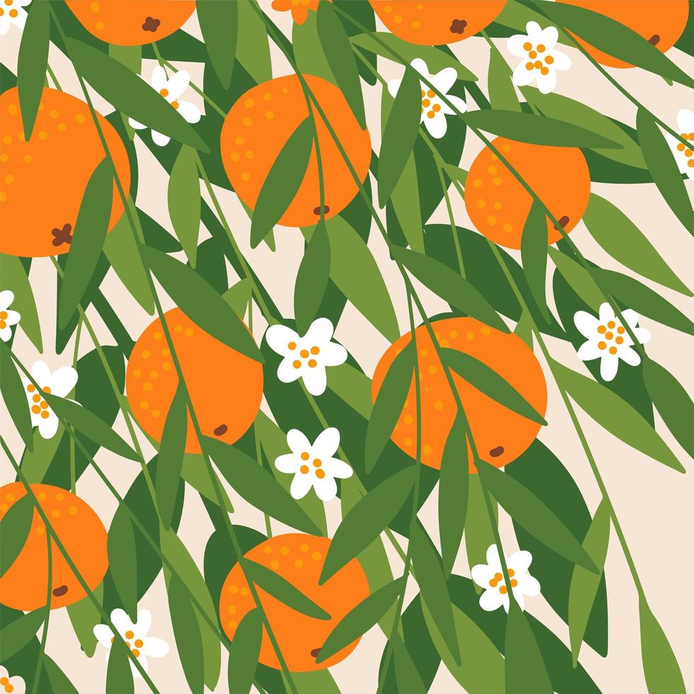 sinaasappelboomtakken met fruit, bloemen en bladeren. achtergrond met gebladerte en herfst oogst. Oranje bloesem. vector platte hand getekende illustratie.