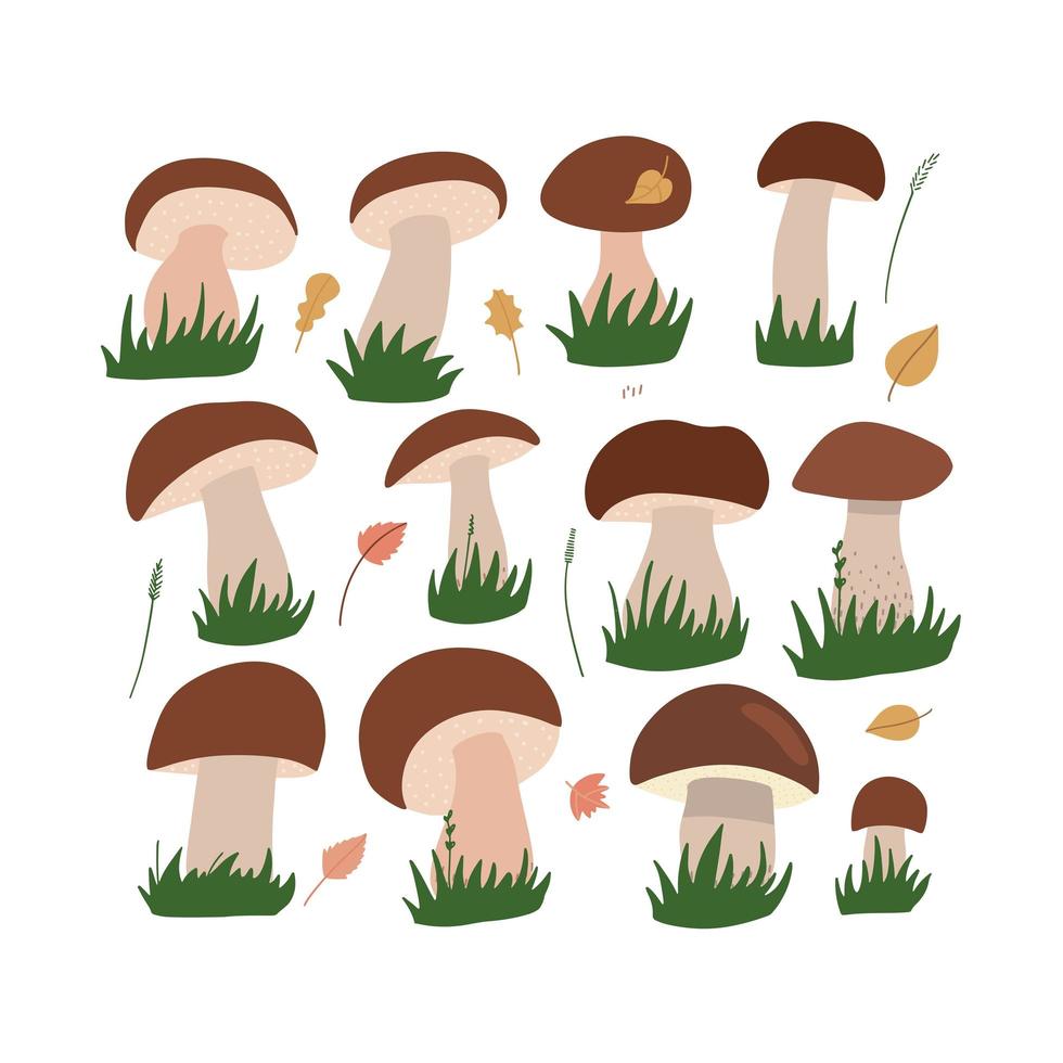 witte eekhoorntjesbrood set. cartoon bruin GLB boletus met groen gras geïsoleerd op een witte achtergrond. gemakkelijk te bewerken. platte vector hand getekende illustratie.