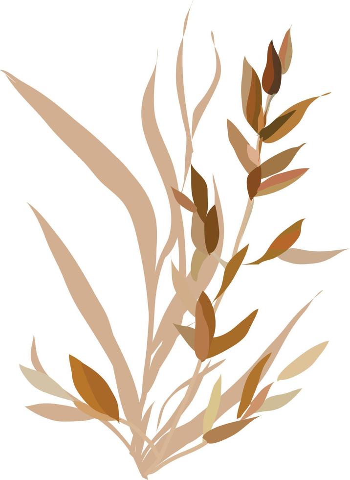 aquarel bladeren.elementen van nature.vector. vector