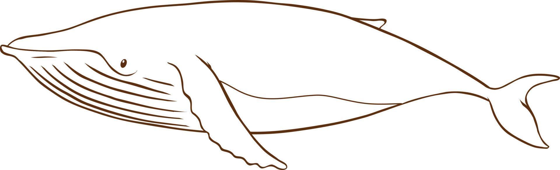 walvis in doodle eenvoudige stijl op witte achtergrond vector