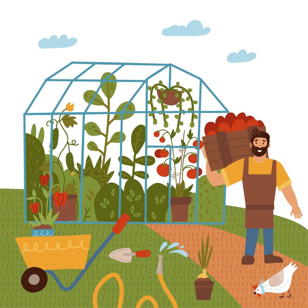 een jonge man met een oogst tomaat, kasgroenten. thema tuin. mannelijke boer die planten verbouwt en gewassen oogst op de boerderij tussen het veld. vector platte hand getekende illustratie