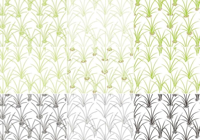 Gras Patroon Vector Pack