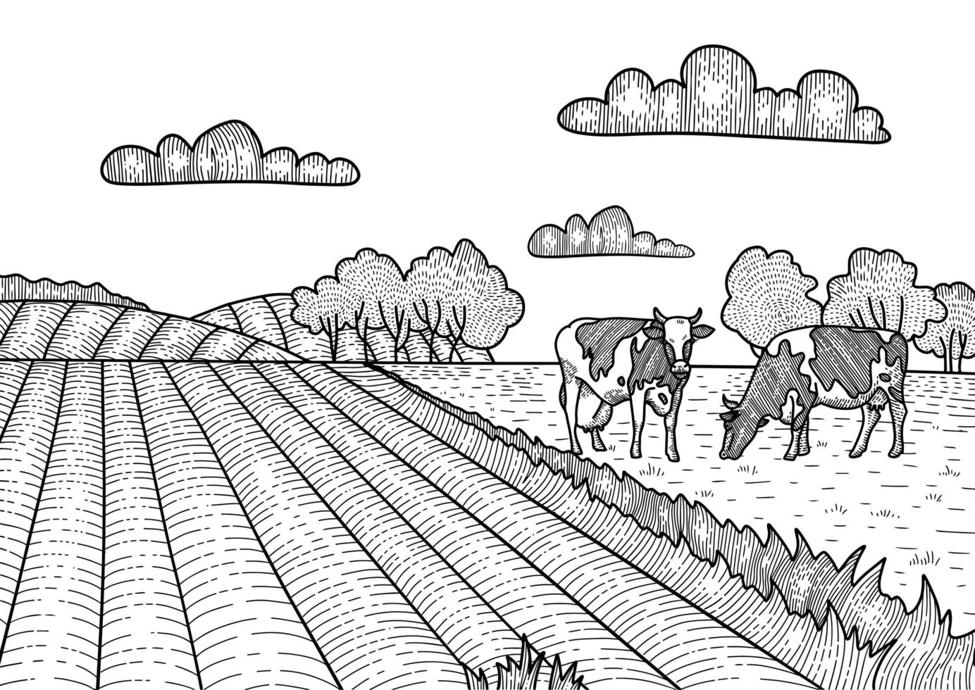koeien grazen op de weide. dorp, landschapsboerderij. hand getrokken lineaire schets illustratie. vector