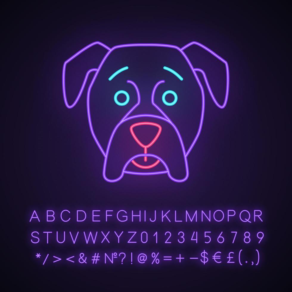 boxer schattig kawaii neonlicht karakter. hond met verstilde snuit. verbaasd huisdier. grappige emoji, emoticon. gloeiend pictogram met alfabet, cijfers, symbolen. vector geïsoleerde illustratie