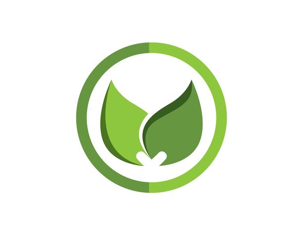 blad groene natuur logo en symbool sjabloon Vector