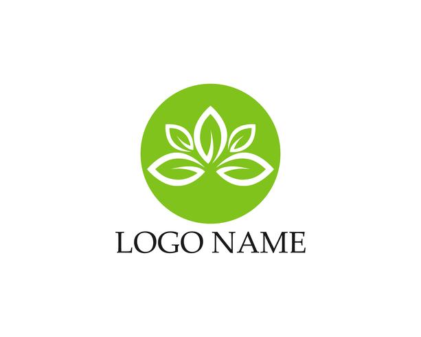 Logo&#39;s van groene blad ecologie natuurelement vector pictogram