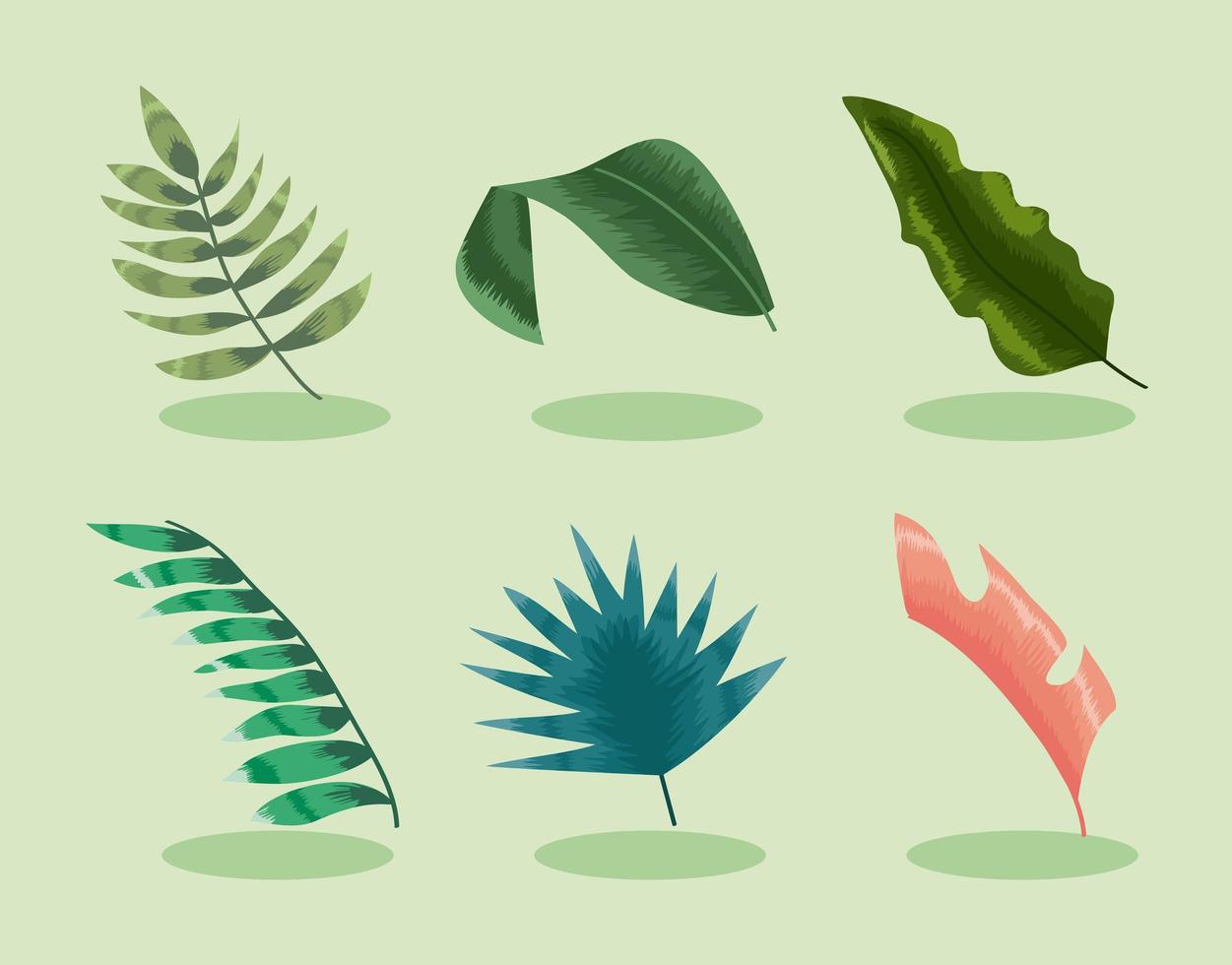 zes tropische bladeren pictogrammen vector