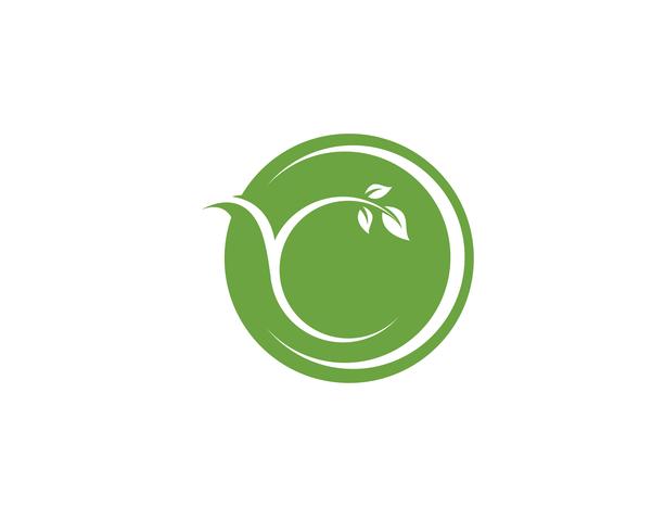 blad groene natuur logo en symbool sjabloon Vector