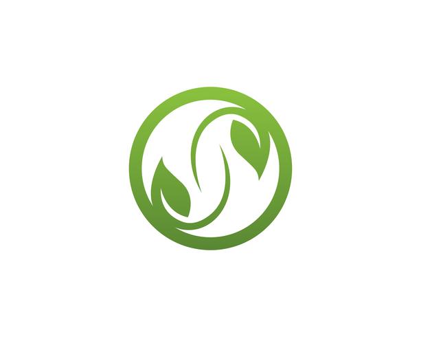 blad groene natuur logo en symbool sjabloon Vector