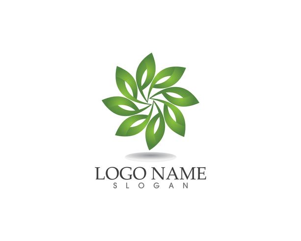 blad groene natuur logo en symbool sjabloon Vector