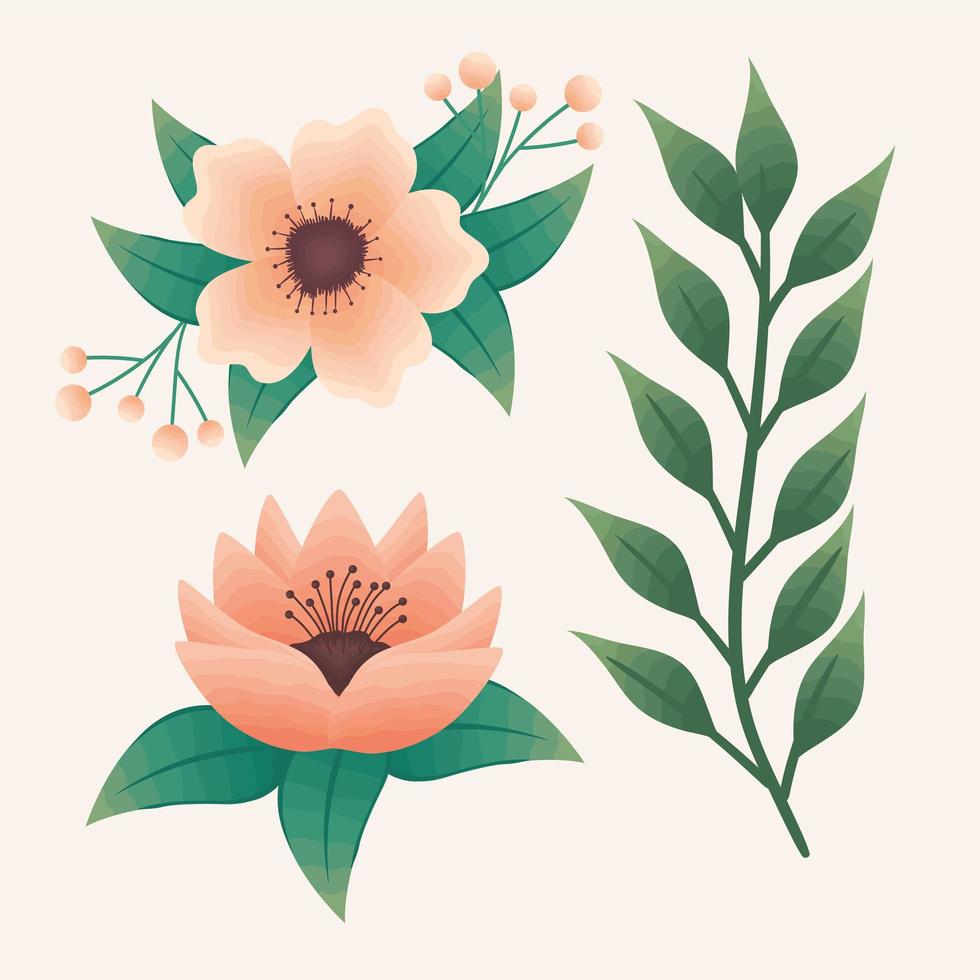 oranje bloemen en bladeren pictogrammen vector