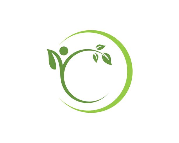 blad groene natuur logo en symbool sjabloon Vector