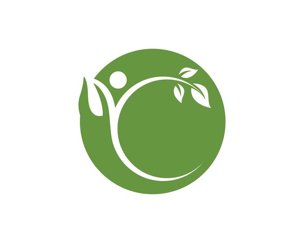 blad groene natuur logo en symbool sjabloon Vector