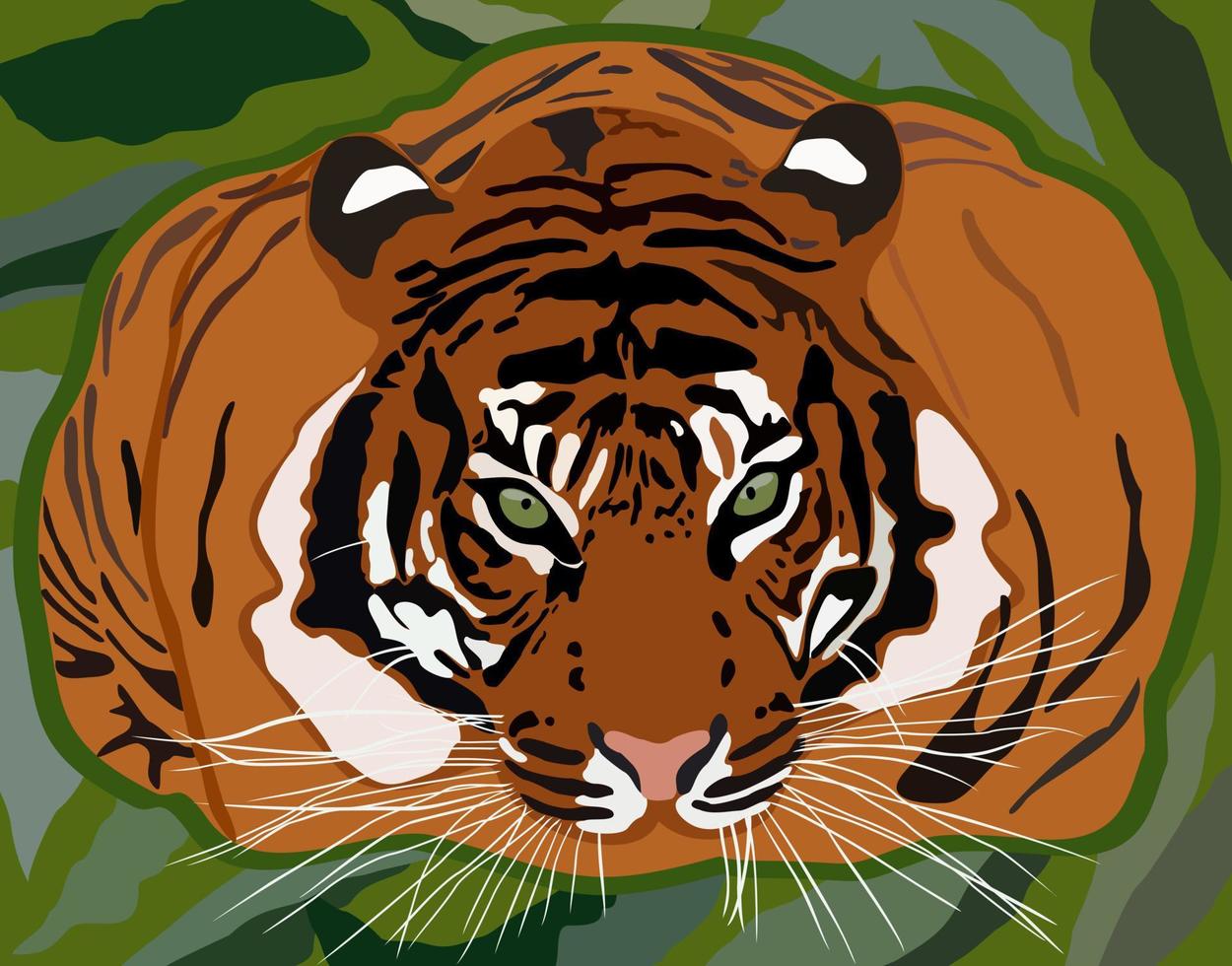 tijger verstopt in het struikgewas vector