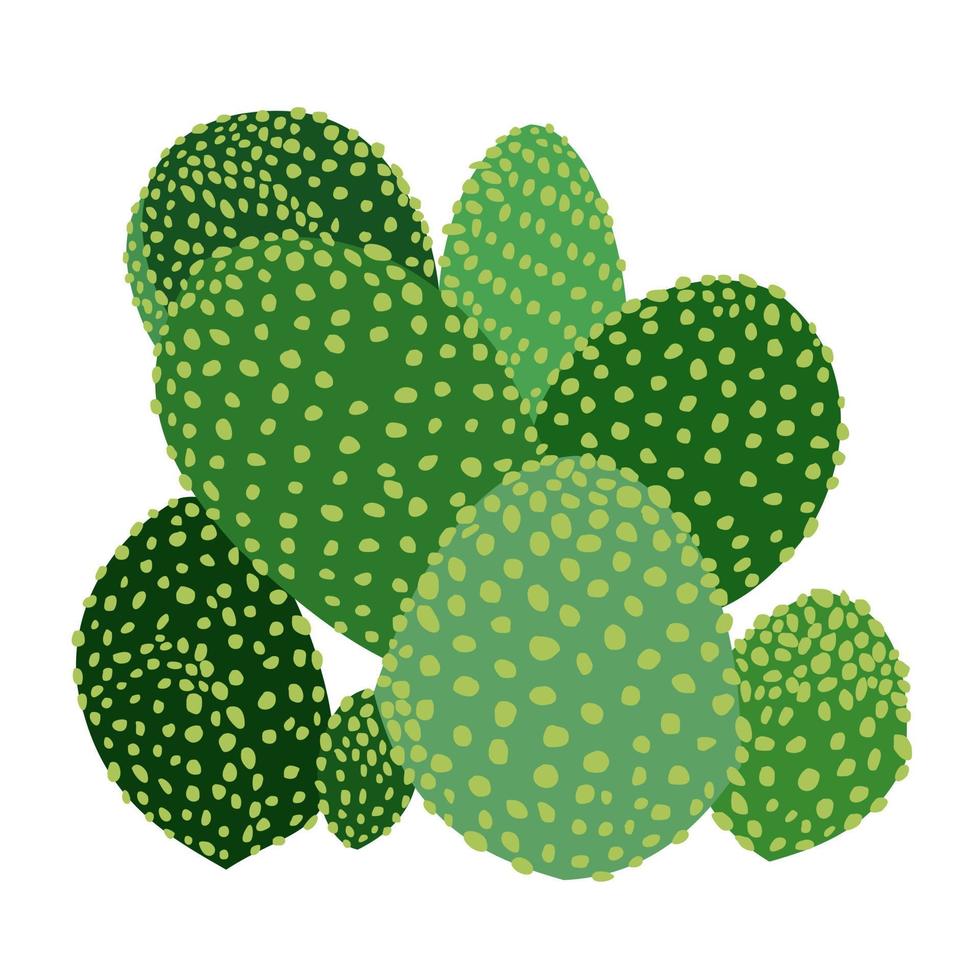 cactus. vector geïsoleerde illustratie.