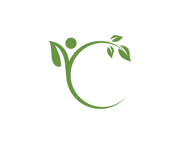 blad groene natuur logo en symbool sjabloon Vector