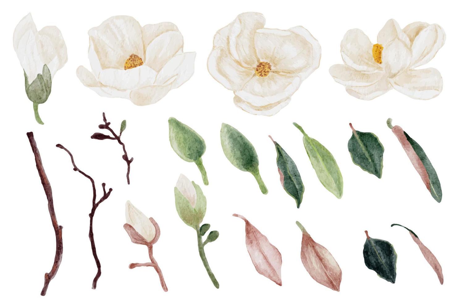 aquarel witte magnolia bloem en blad boeket elementen collectie vector