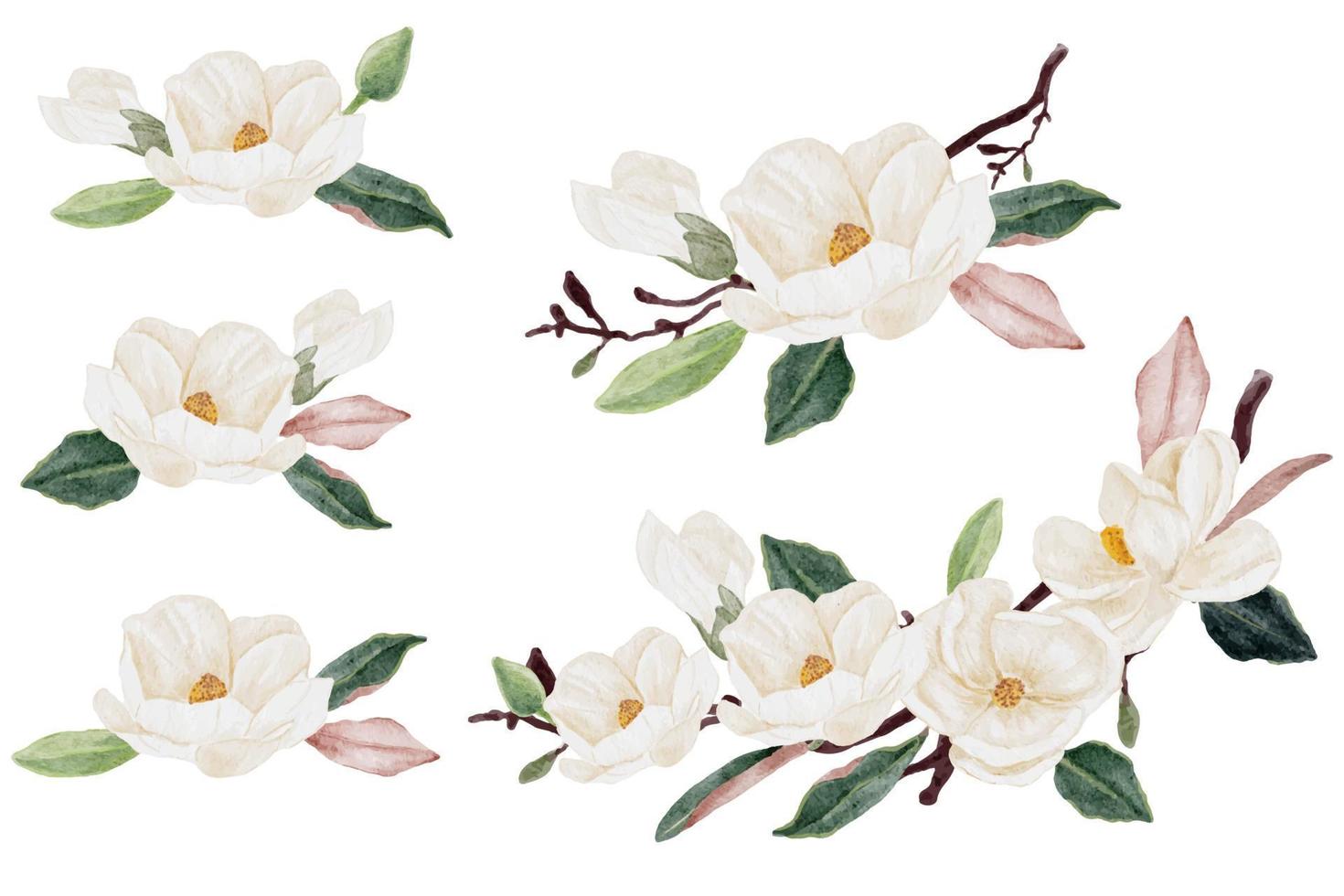 Aquarel witte magnolia bloem en blad boeket clipart collectie geïsoleerd op een witte achtergrond vector