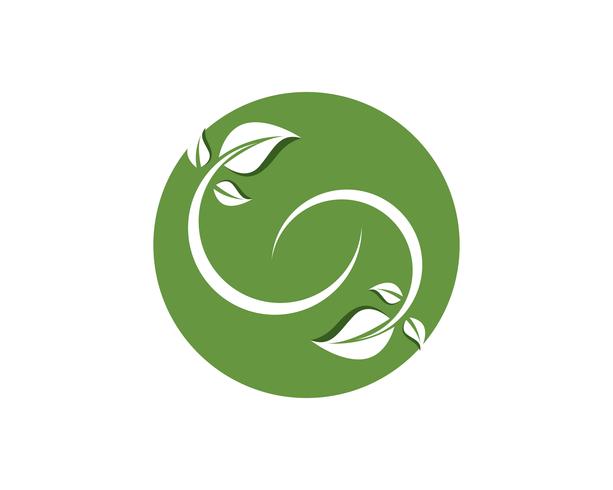 blad groene natuur logo en symbool sjabloon Vector