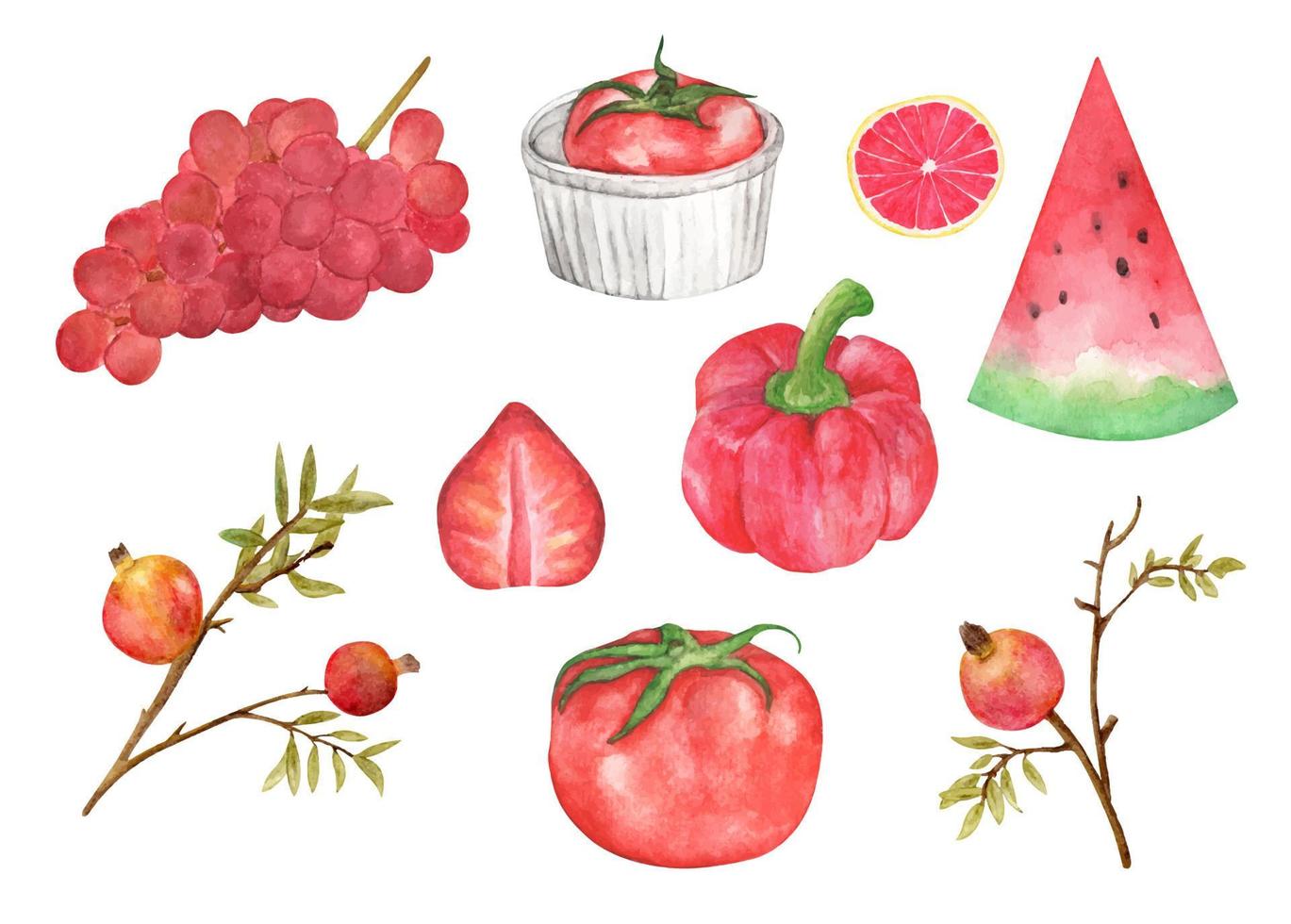 rode groenten en fruit set. aquarel illustratie. vector