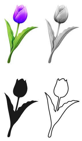 Set van tulp bloem vector