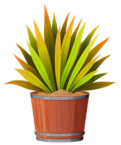 Een plant in de pot vector