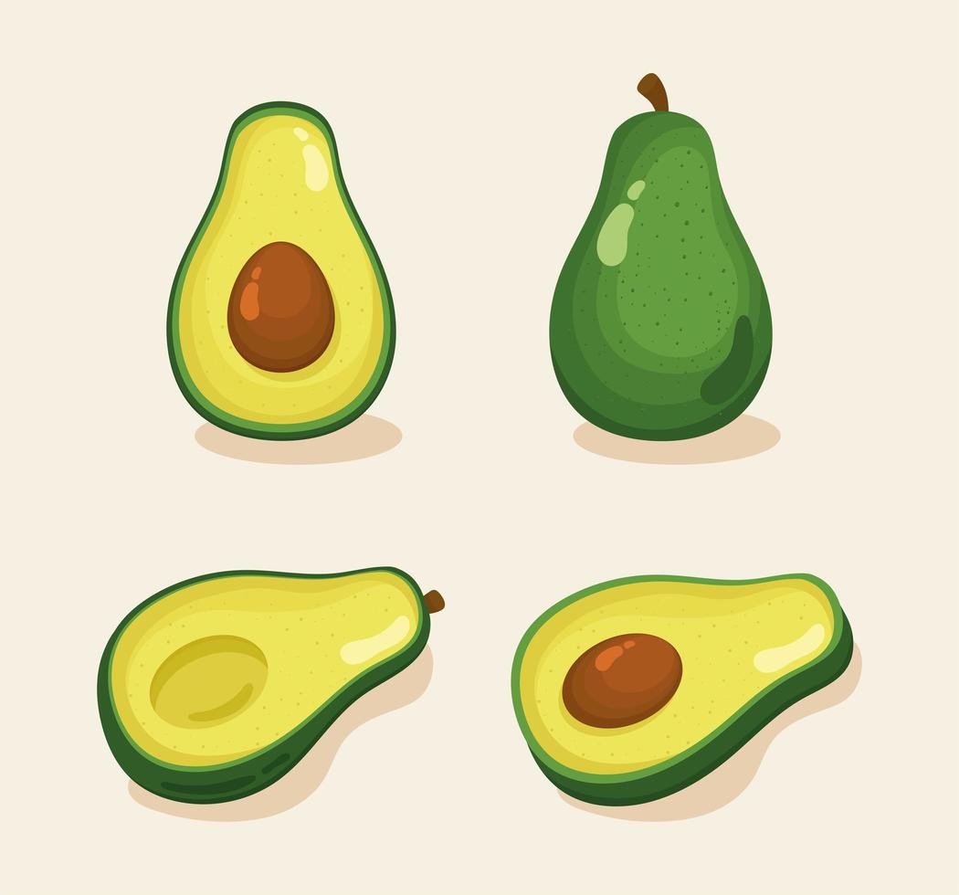 vier avocado's groenten pictogrammen vector