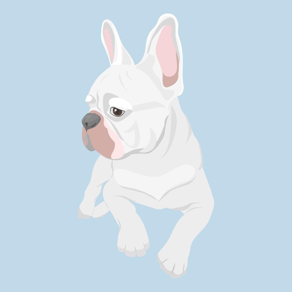 franse bulldog liegen en zijwaarts kijken. rasechte hond voor het ontwerp van huisdierproducten. vector