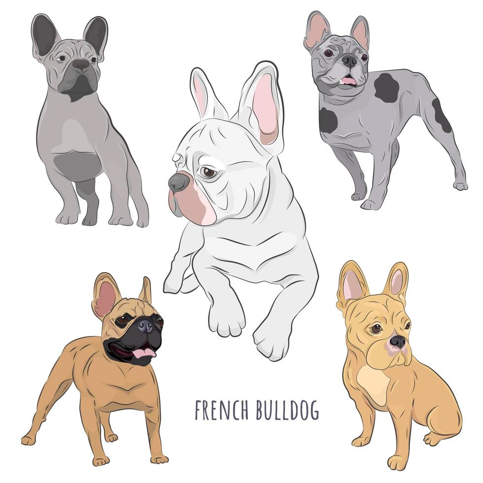 rasechte honden hand getekende illustratie. vector