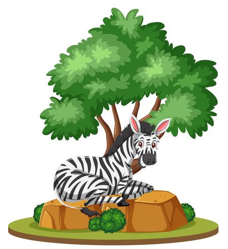 Een zebra in geïsoleerde aard vector
