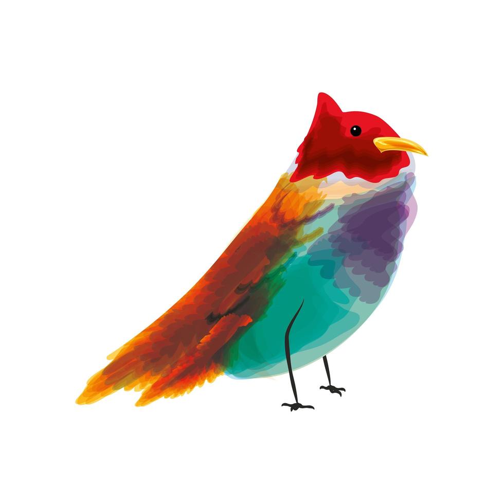 schattige vogel aquarel vector