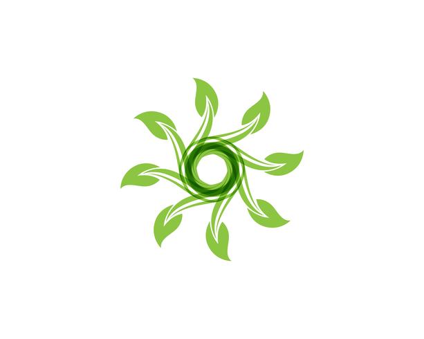 blad groene natuur logo en symbool sjabloon Vector