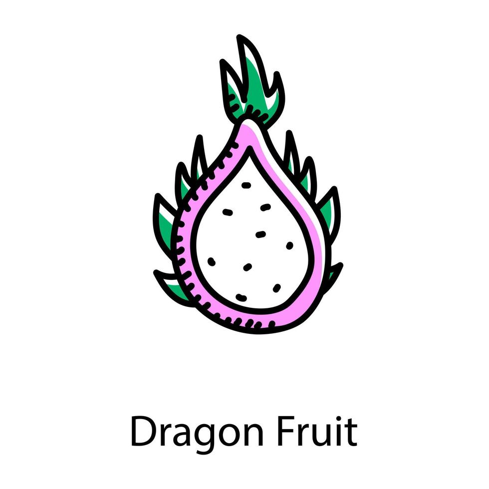 gezond en biologisch fruit, doodle stijlicoon van drakenfruit vector