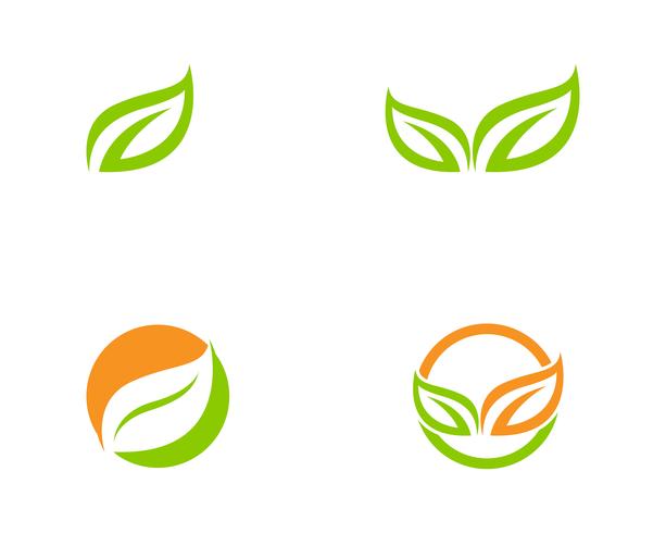 Emblemen van groene blad ecologie natuur element vector