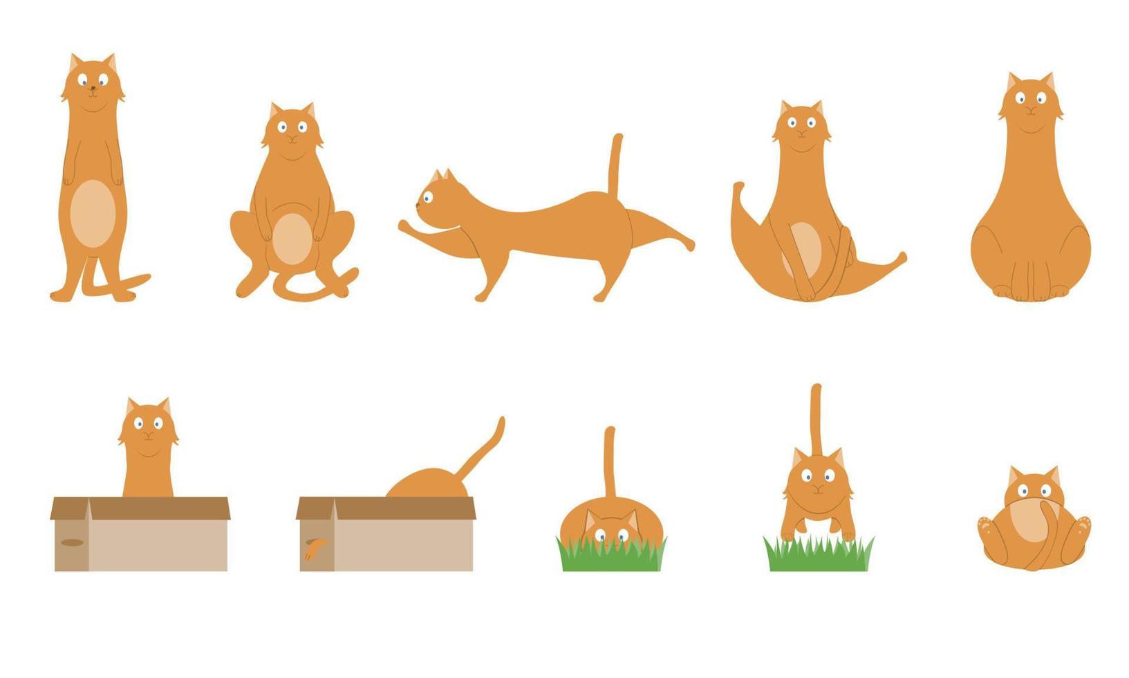 set illustraties van schattige katten in verschillende poses. staand op twee poten, spelend in een doos, verstopt in het gras, springend, op zijn rug liggen, zitten en optrekken. vector