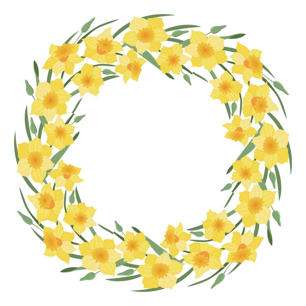 een krans van narcissen bloemen en bladeren. narcissen. geschikt voor ansichtkaarten en uitnodigingen. vector