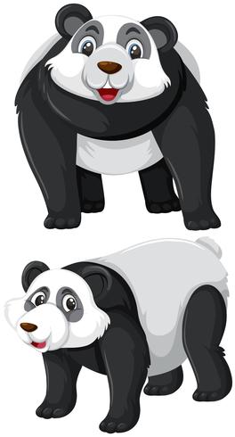 Set van panda karakter vector