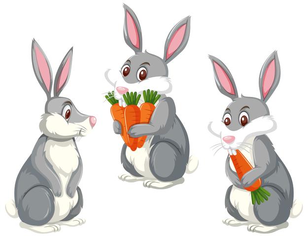 Set van drie schattige konijnen vector