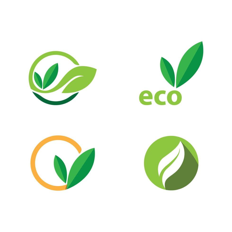 eco boomblad vector