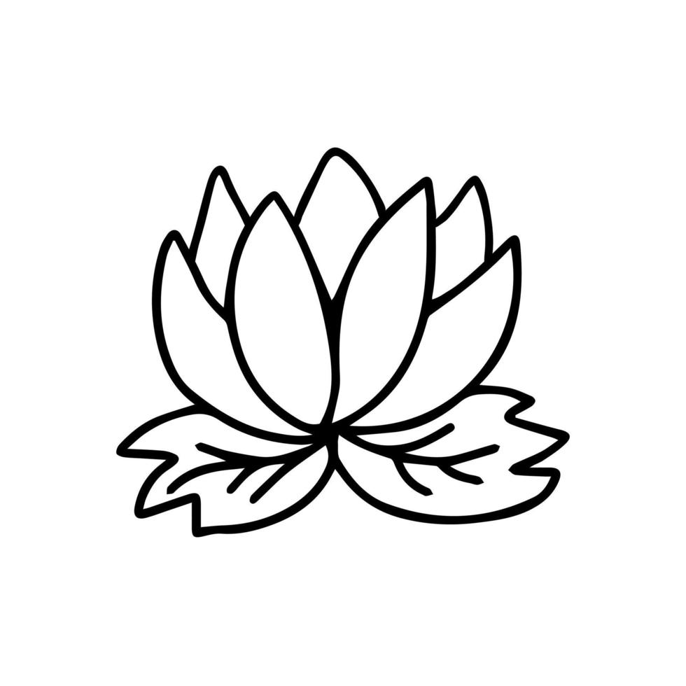 doodle waterlelie of lotus vectorillustratie. hand getekende bloemen decoratief element. lijn kunst lotus. vector