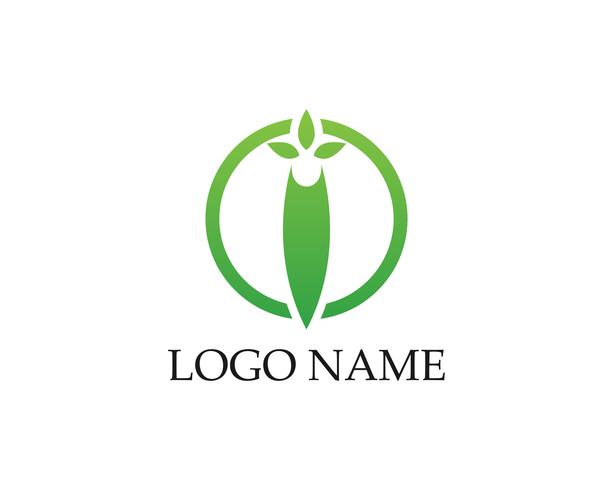 Logo&#39;s van groene blad ecologie natuurelement vector pictogram