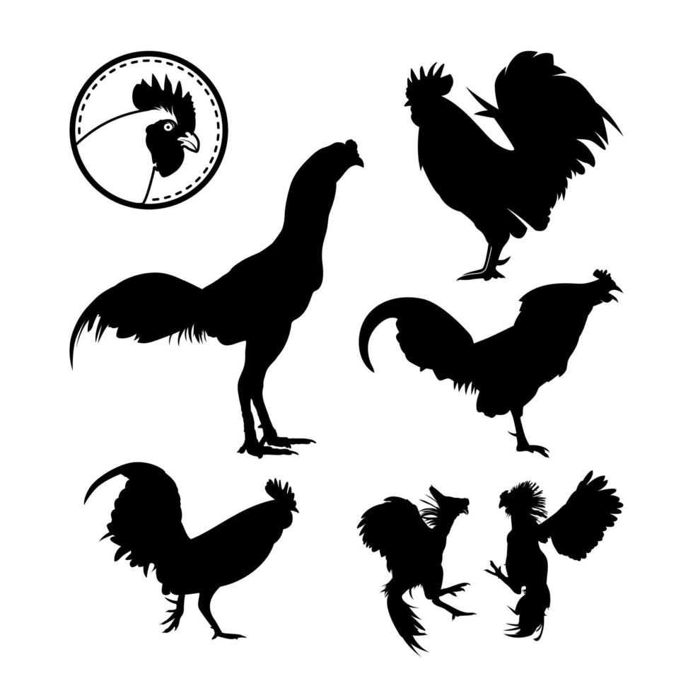 haan kip setinspiratie logo silhouet, haan kraai, vechtende haan, kippenkop vector
